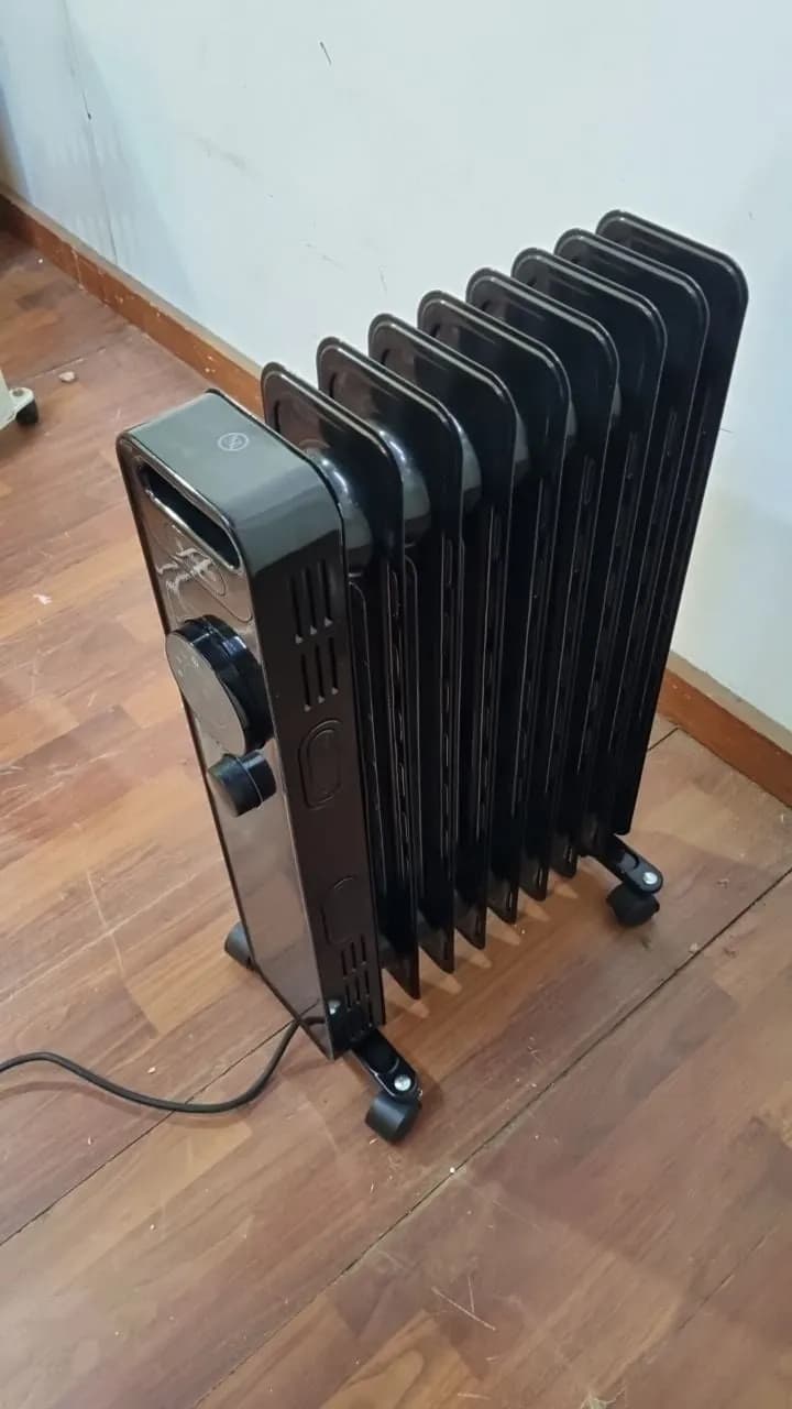 Calefactor eléctrico James con control de temperatura 3